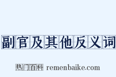 副官及其他反义词是什么意思的图片